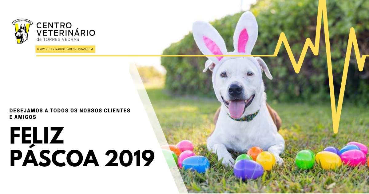 Read more about the article Feliz Páscoa 2019 – Veterinário de Torres Vedras
