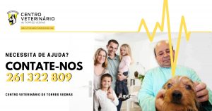 Read more about the article Contatos – Veterinário de Torres Vedras