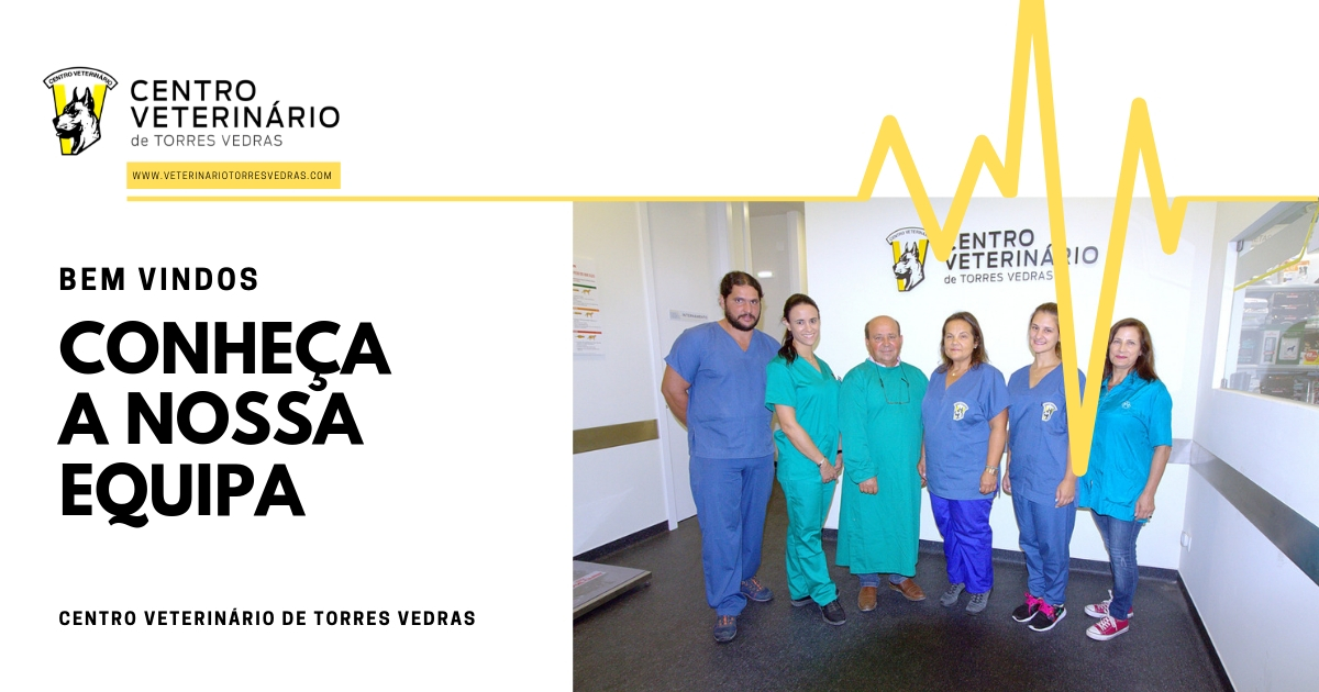 Read more about the article A nossa Equipa – Veterinário de Torres Vedras