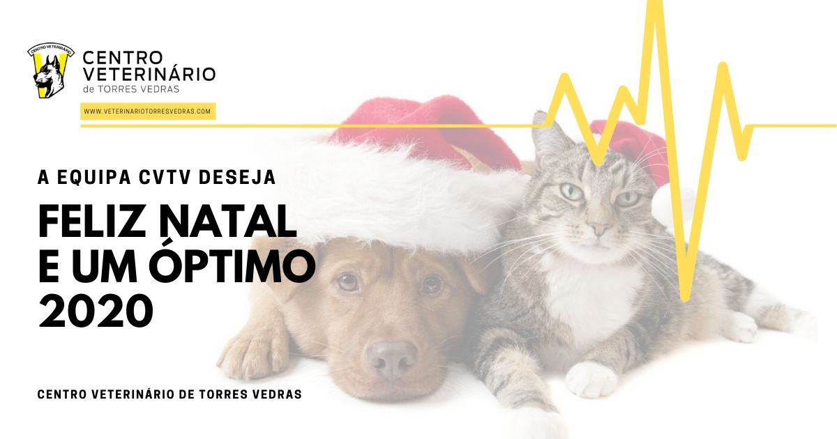 Read more about the article Alteração de horários – Natal e Ano Novo