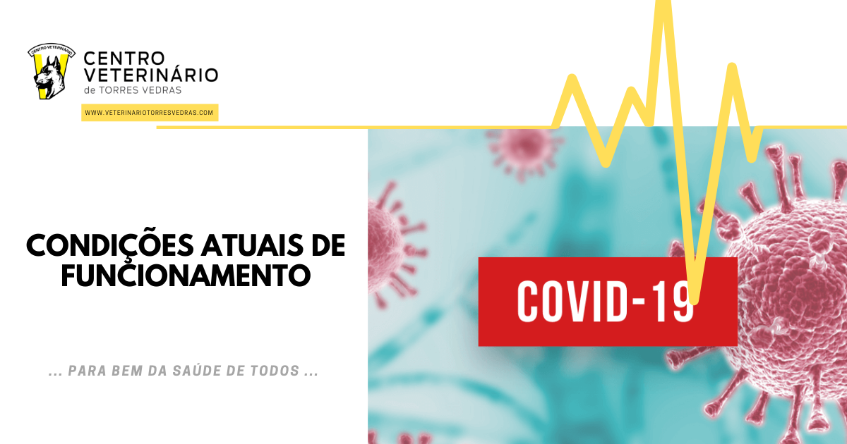 Read more about the article Terminou o estado de emergência mas o perigo mantém-se