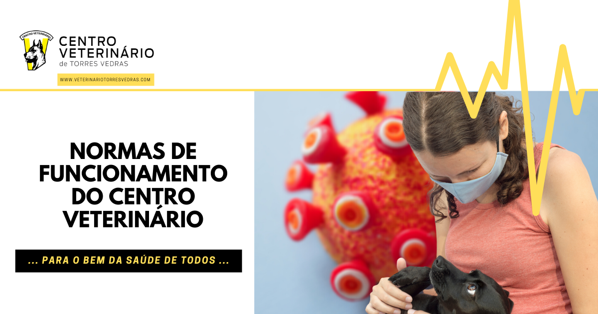 You are currently viewing Normas de funcionamento do Centro Veterinário de Torres Vedras