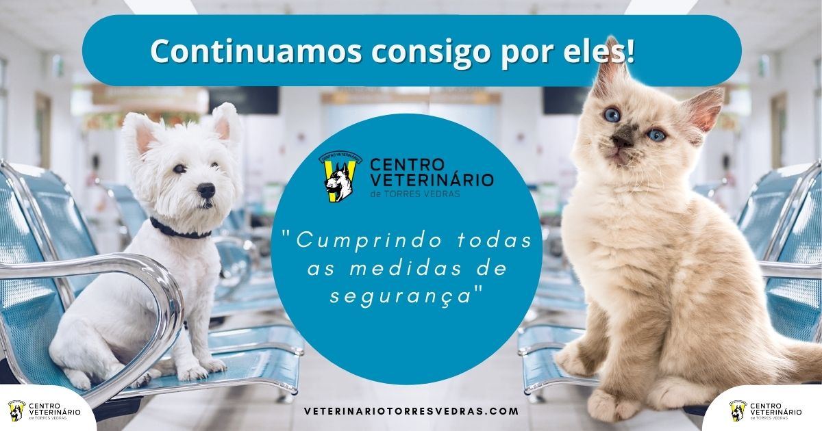 You are currently viewing Continuamos consigo por eles!